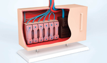 在线短信压力测试